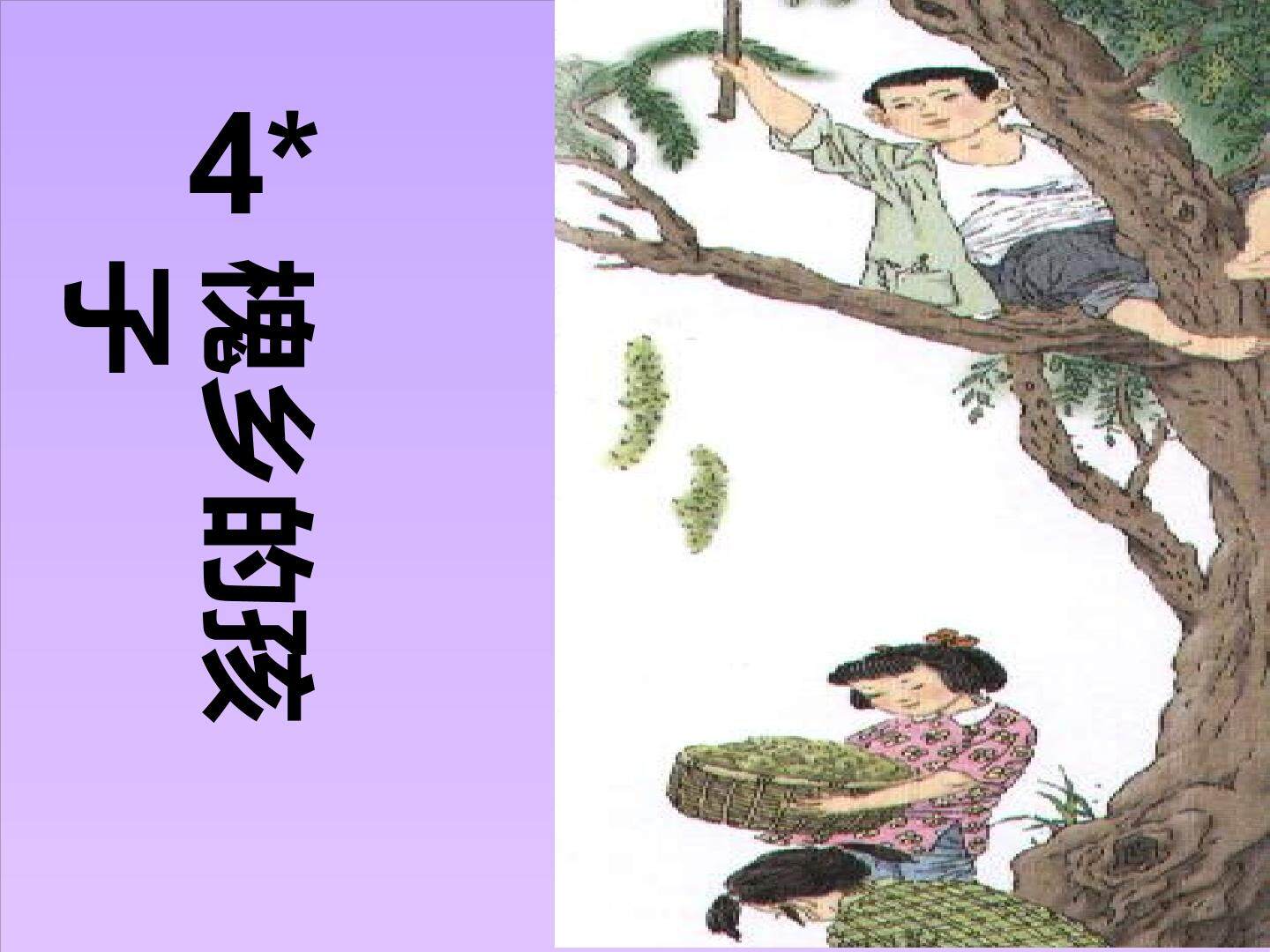 槐乡的孩子