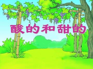 11  酸的和甜的