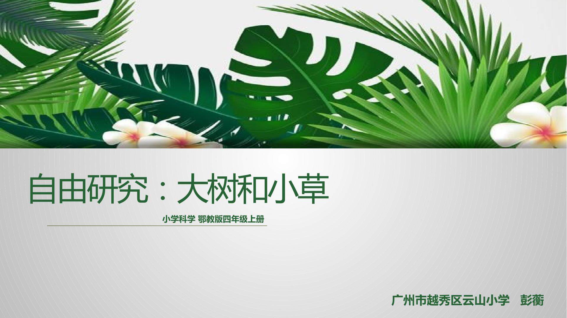 二、寻访校园里的动植物---自由研究：大树和小草
