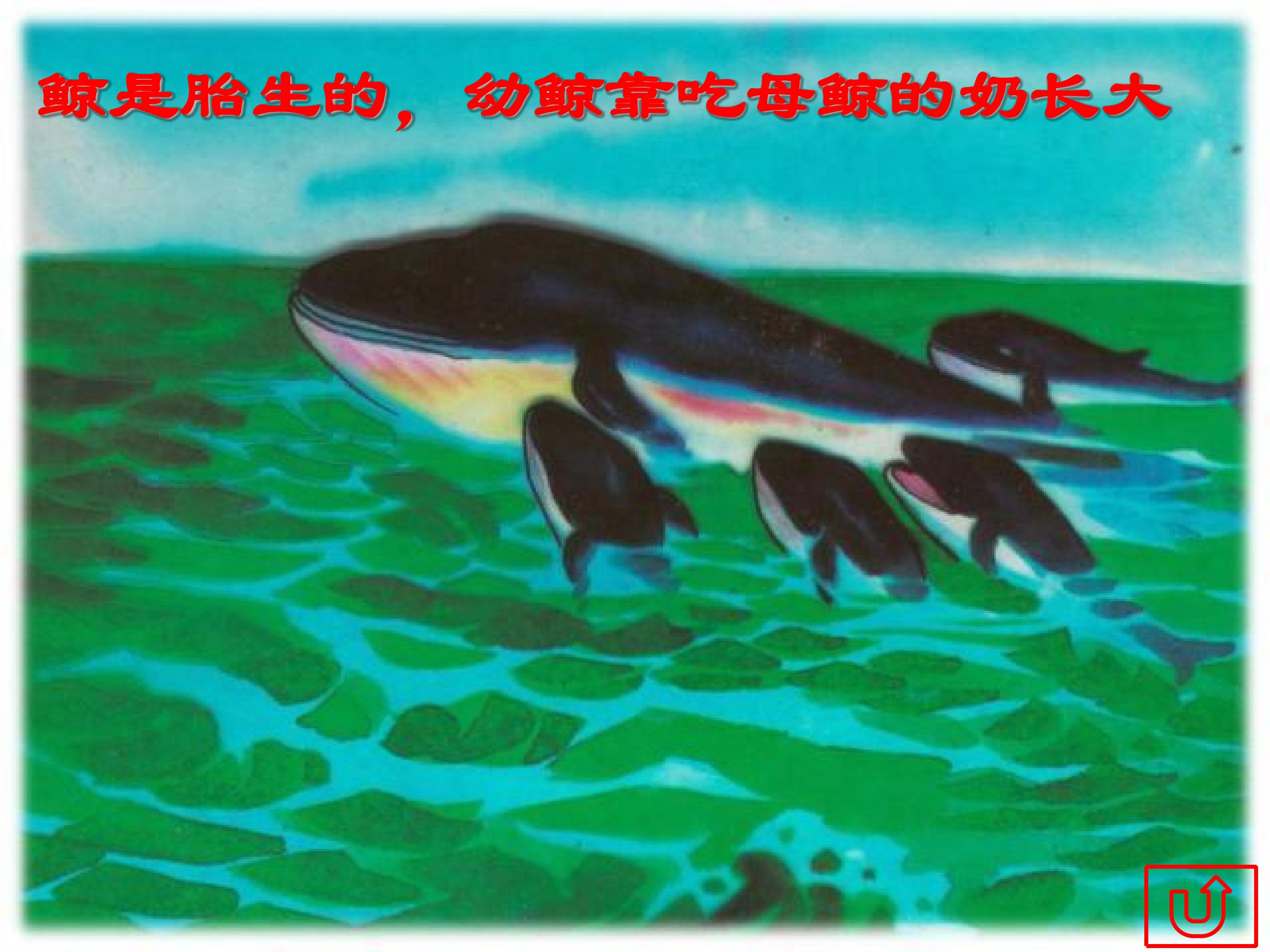 25.jpg