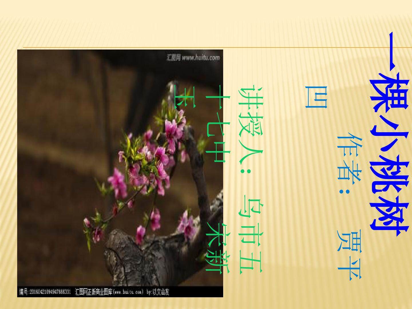 一棵小桃树