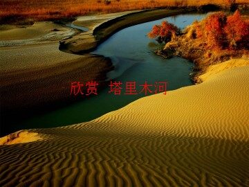 塔里木河_课件1