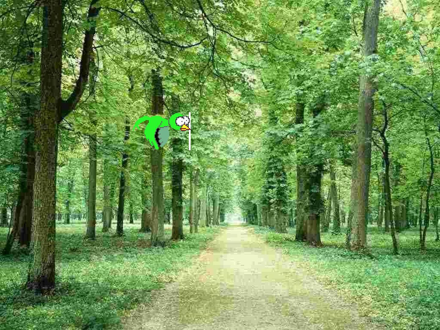 24.jpg