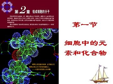 第1节  细胞中的元素和化合物