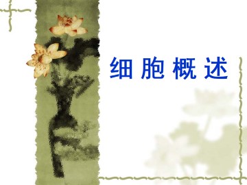 细胞概述_课件1