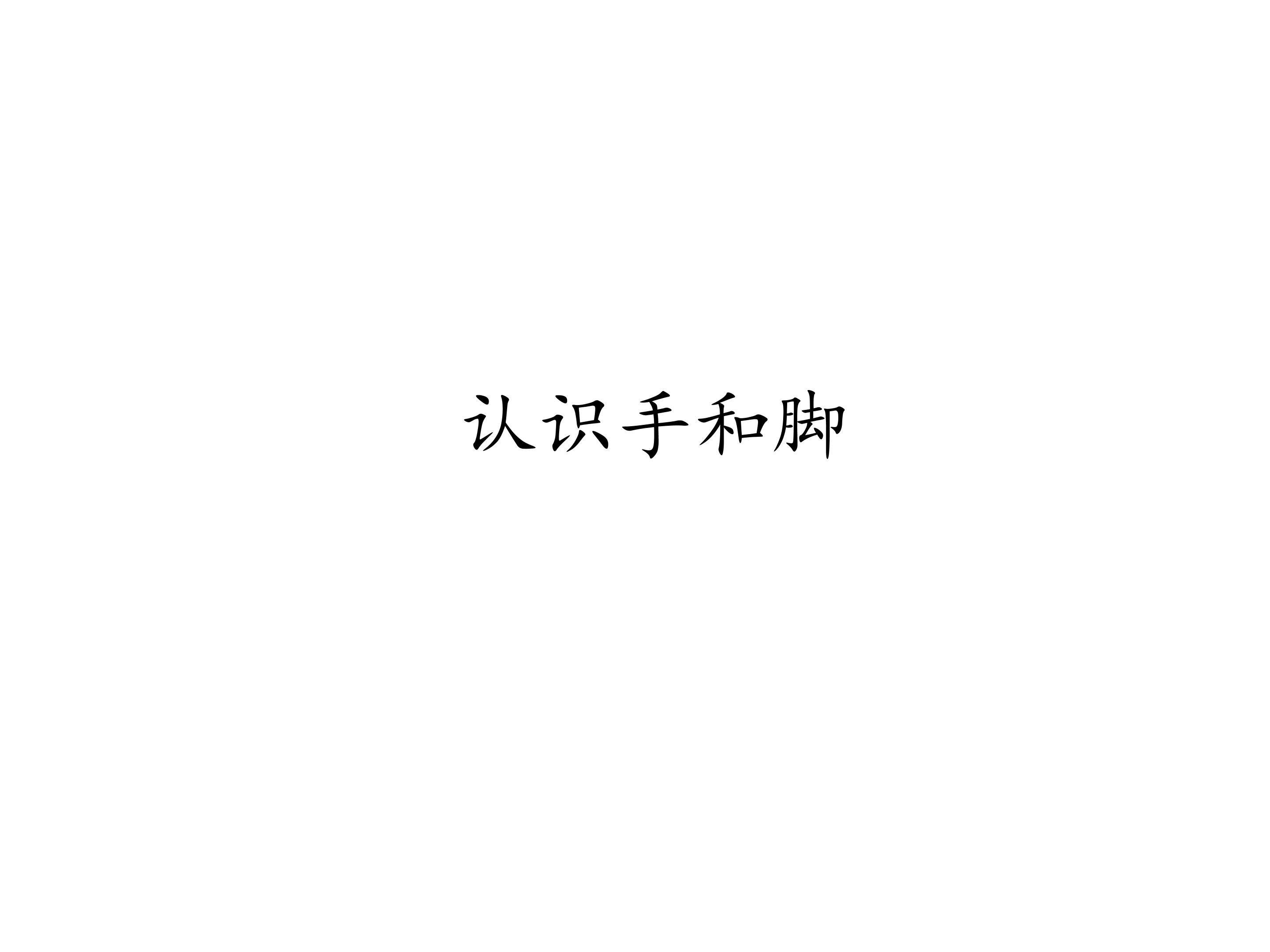 认识手、脚_课件1