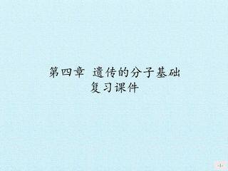第四章 遗传的分子基础 复习课件