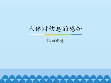 人体对信息的感知-眼与视觉_课件1