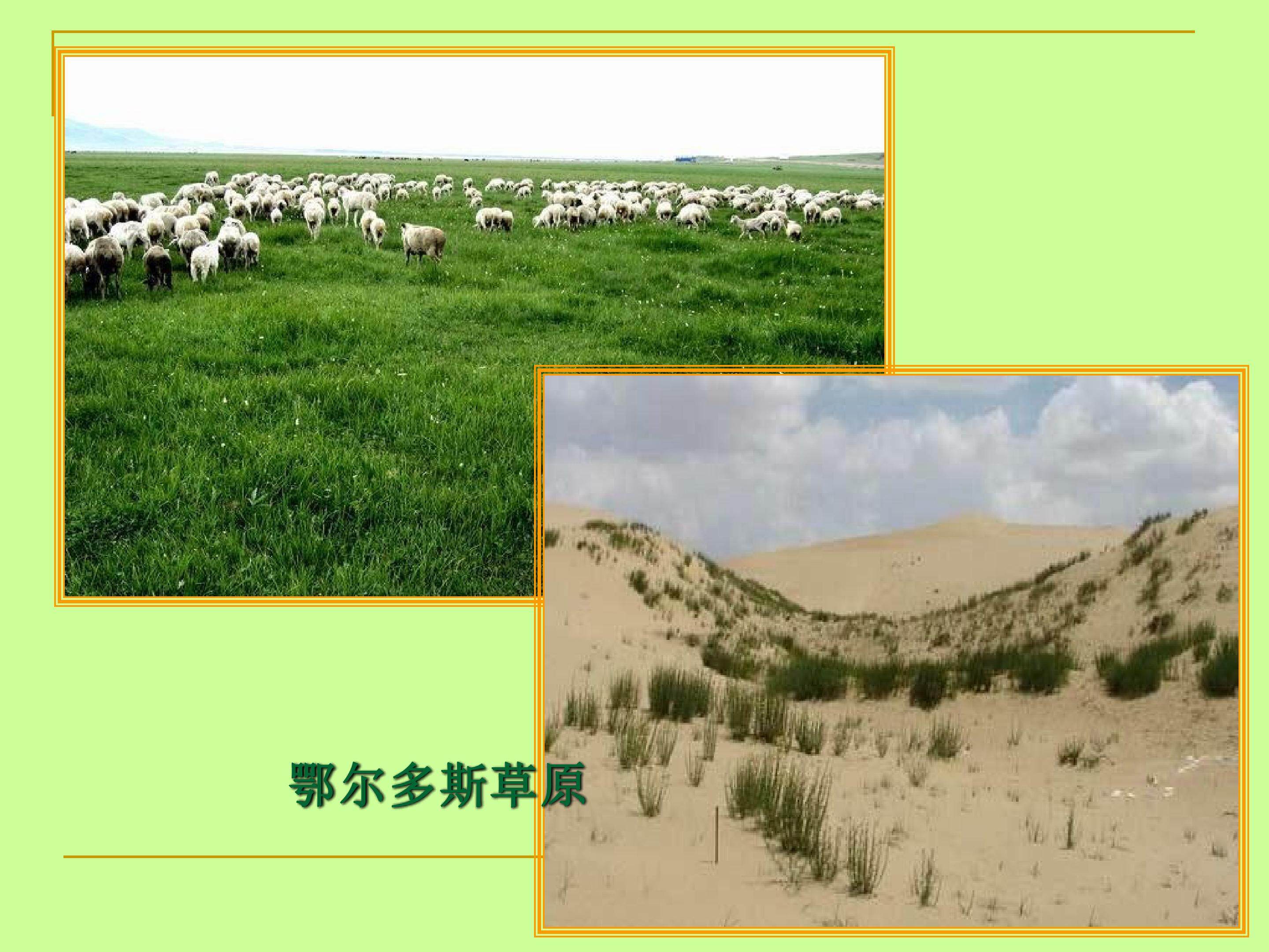 荒漠化的防治（第一课时）