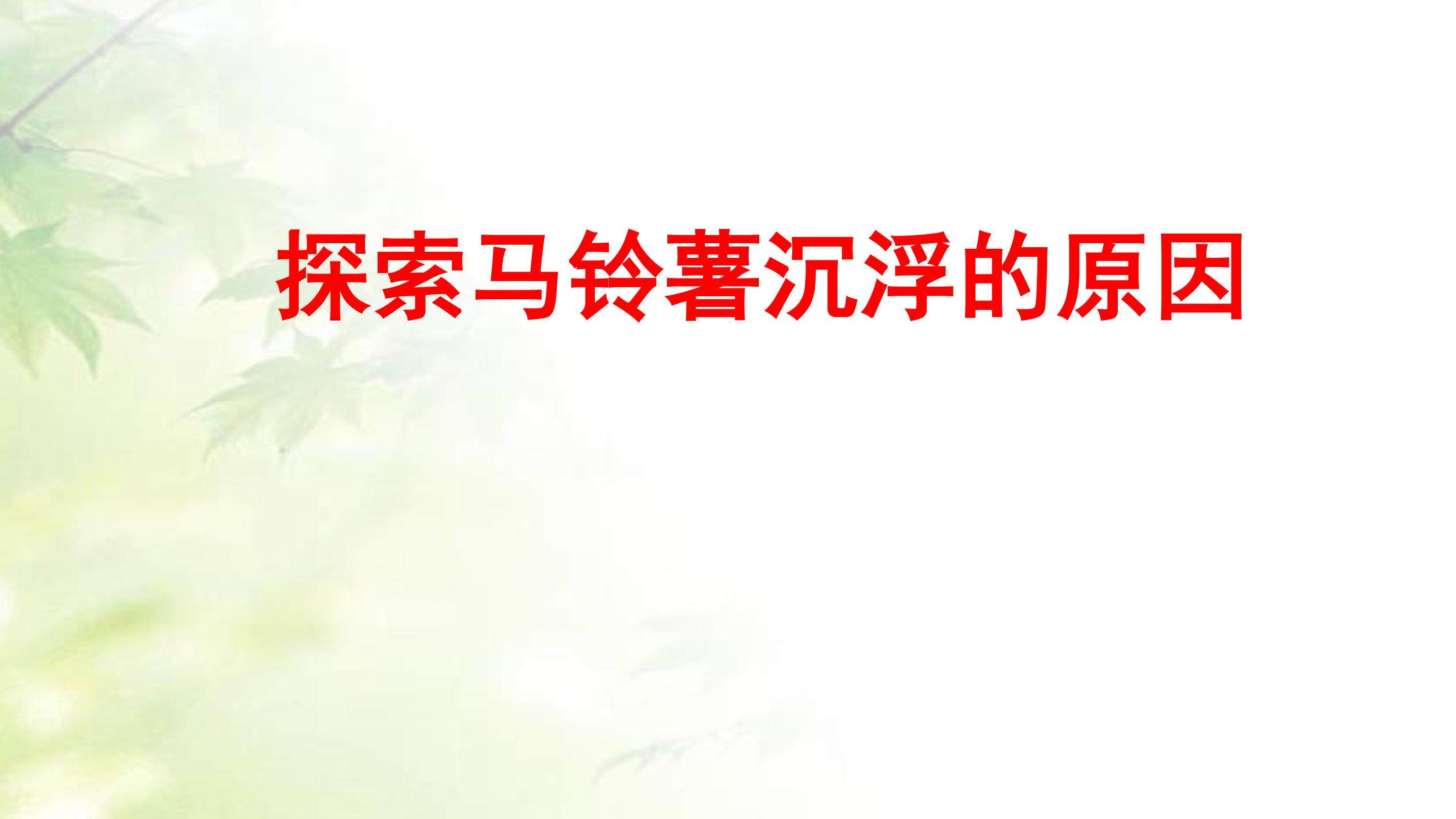探索马铃薯沉浮的原因