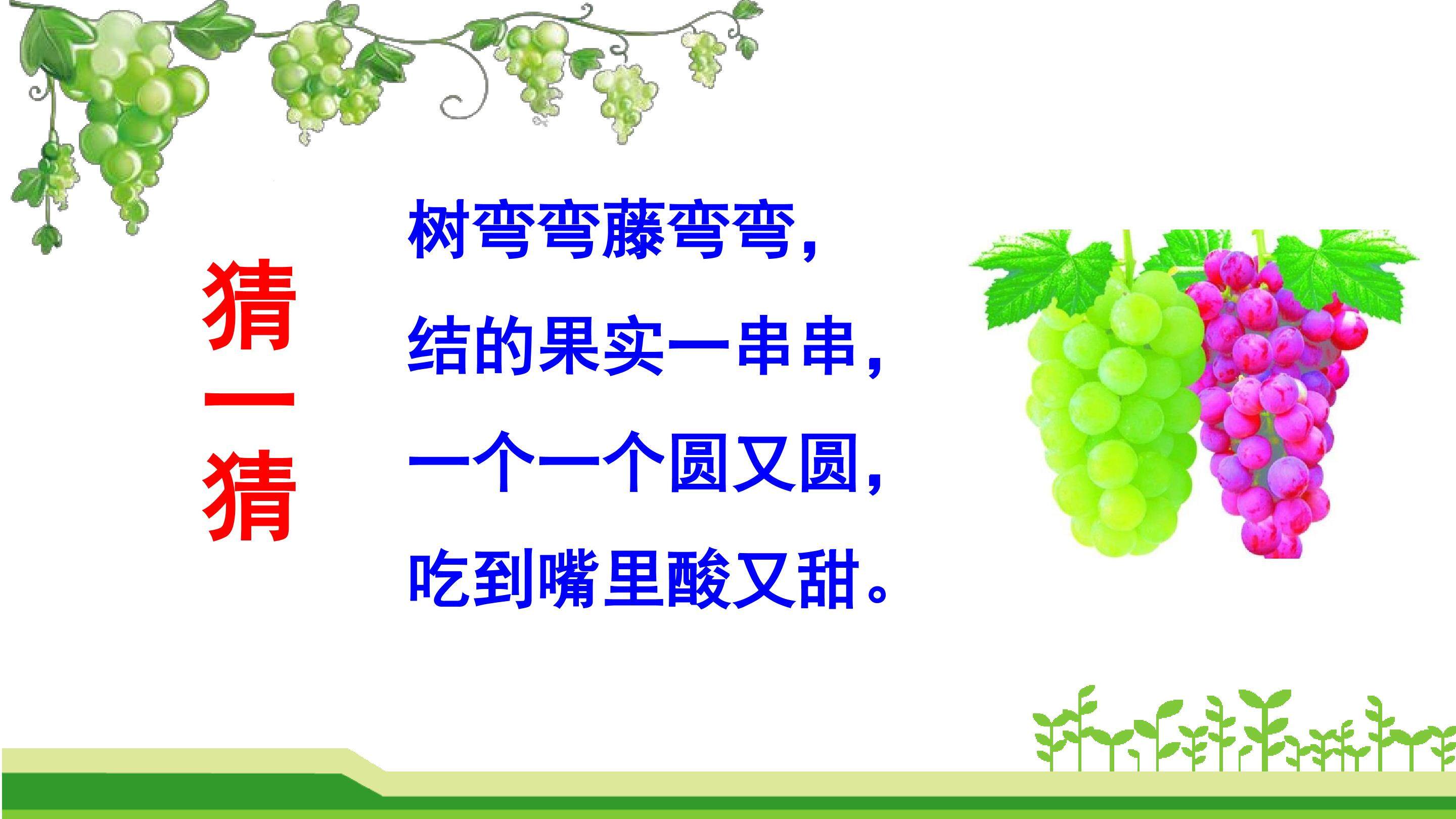 葡萄沟