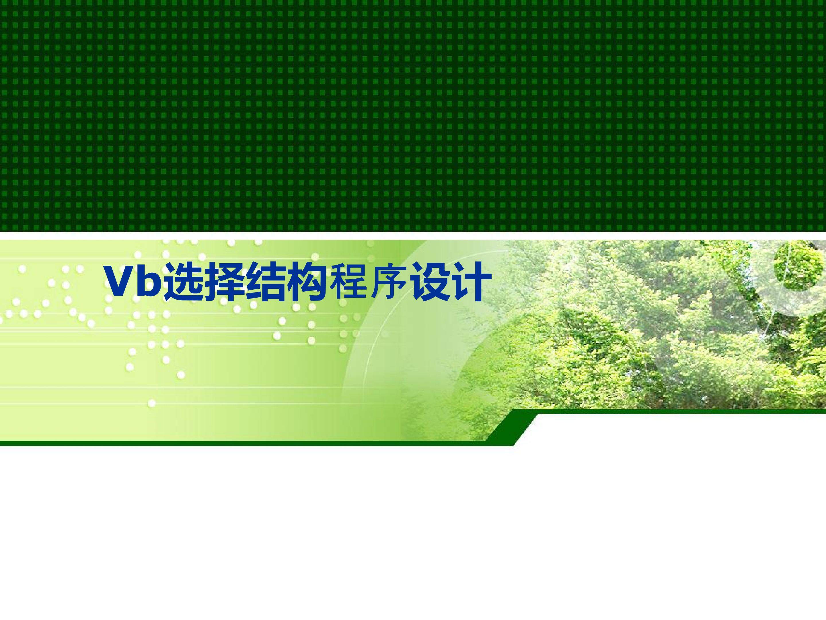 vb选择结构程序设计