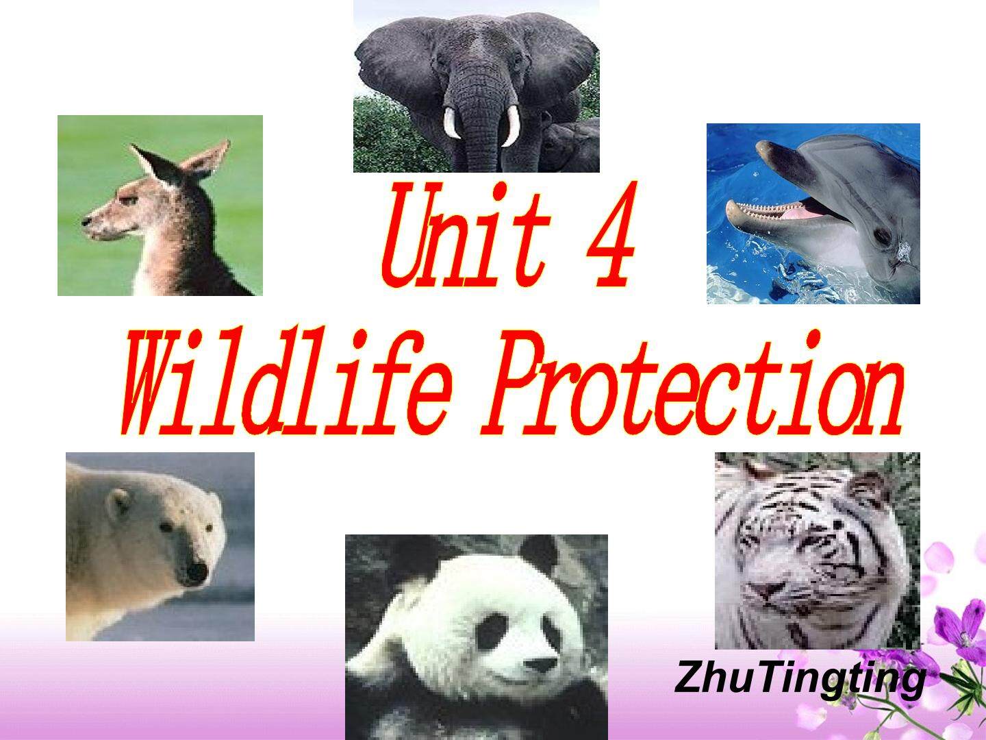 必修二unit4 wildlife protection