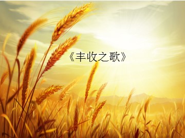 《丰收之歌》_课件1