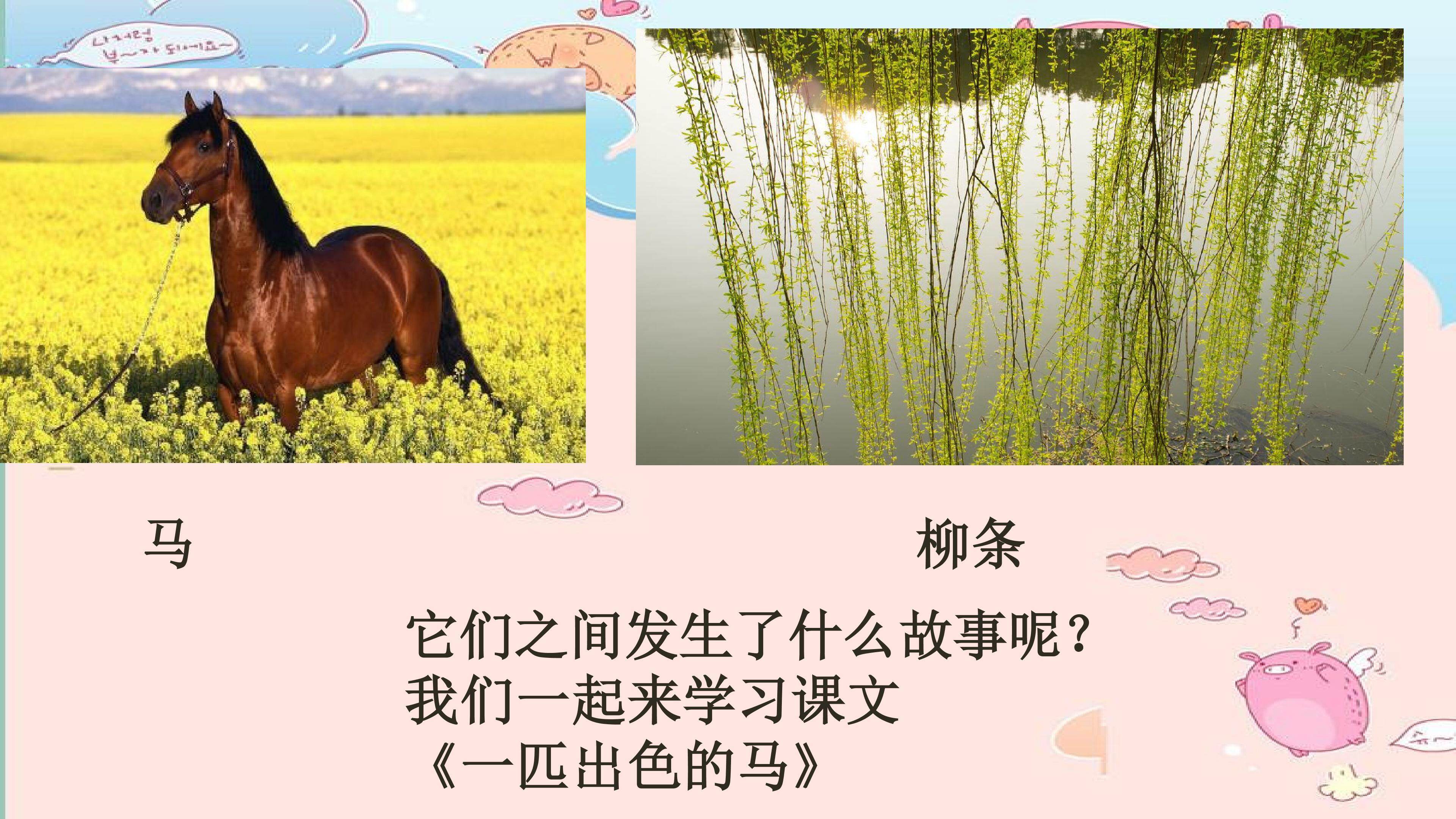 一匹出色的马