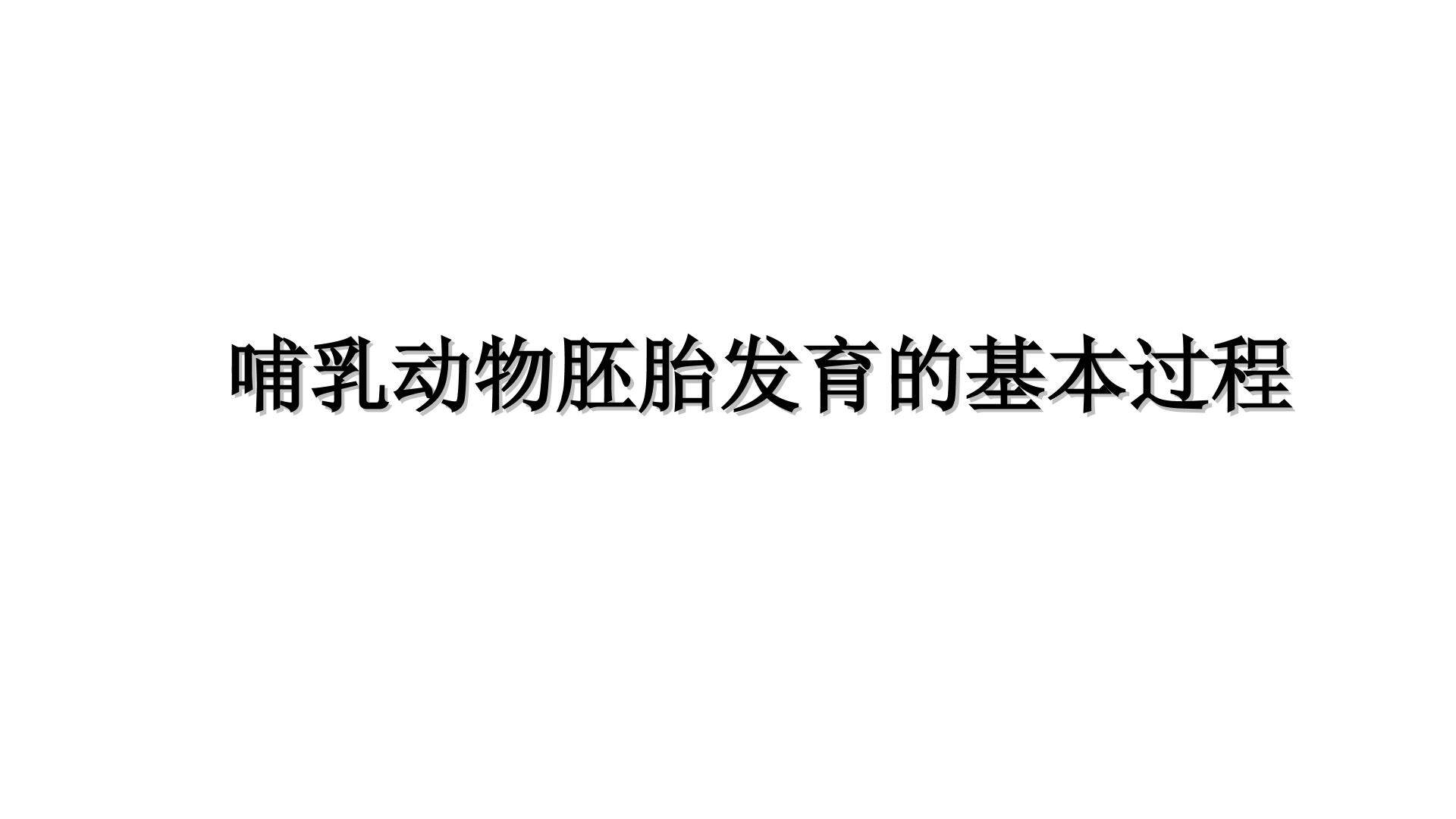 哺乳动物胚胎发育的基本过程_课件1