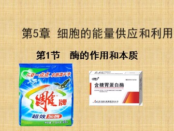 一  酶的作用和本质