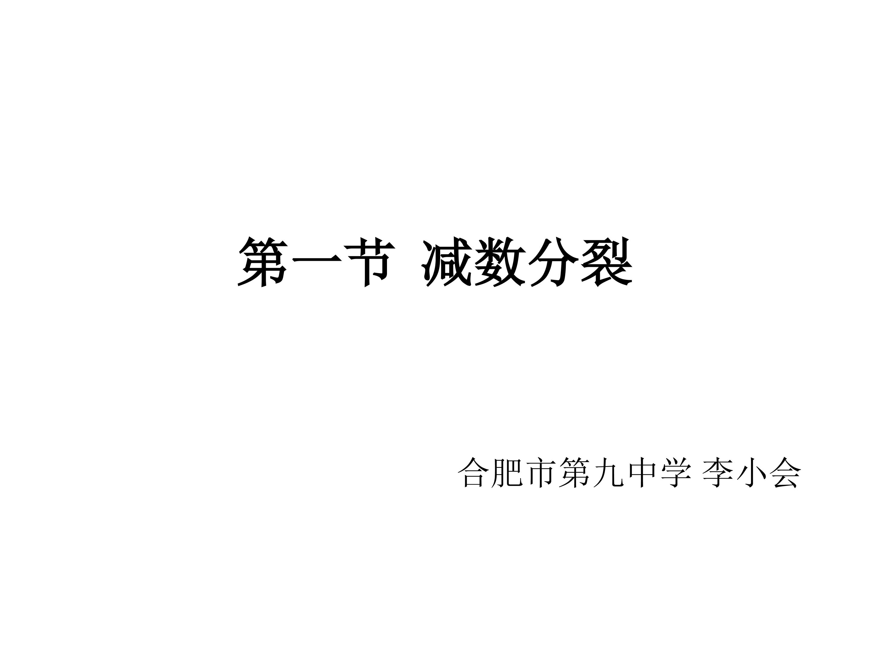 减数分裂