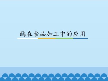 酶在食品加工中的应用_课件1