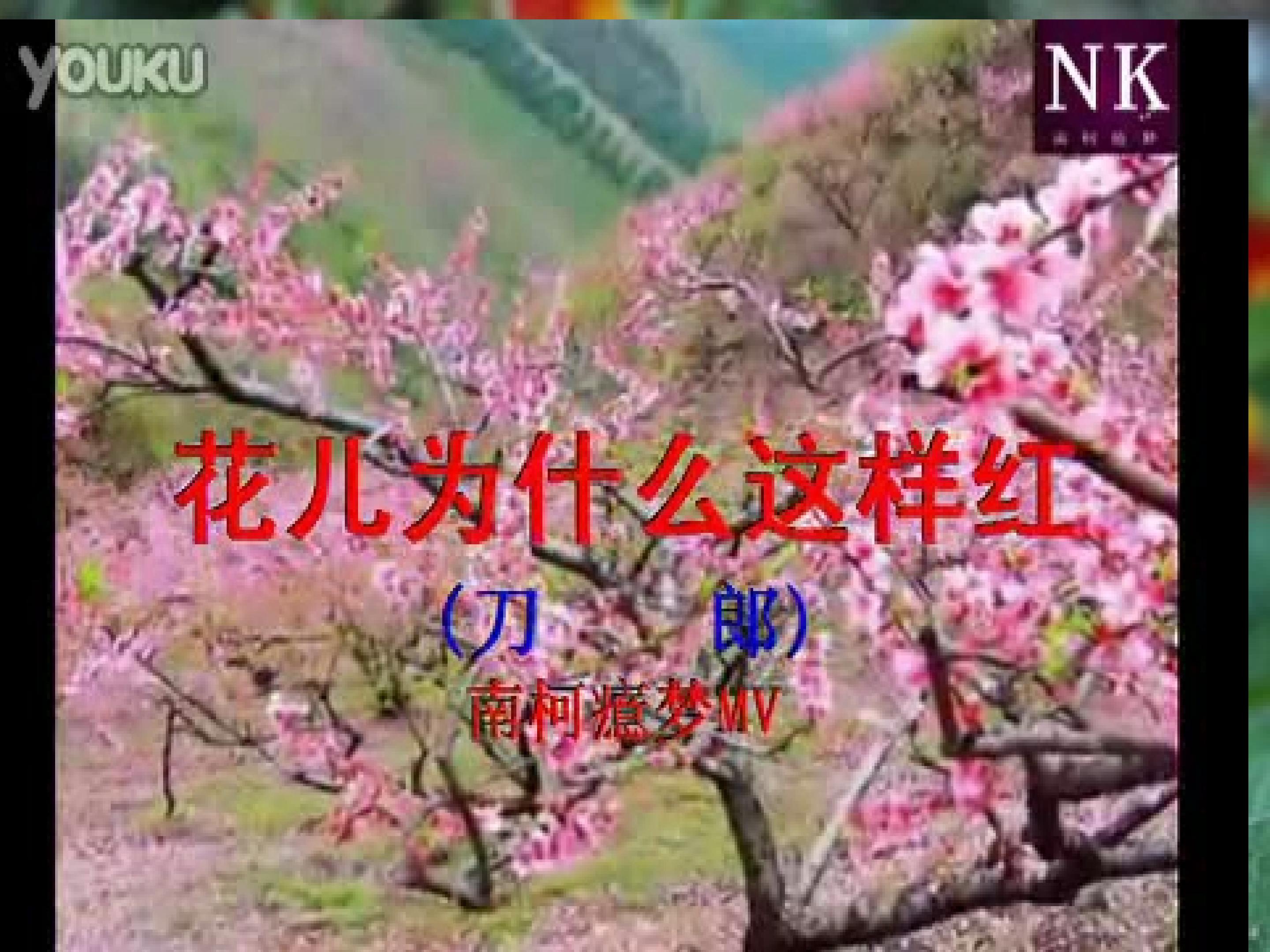 《花儿为什么这样红》