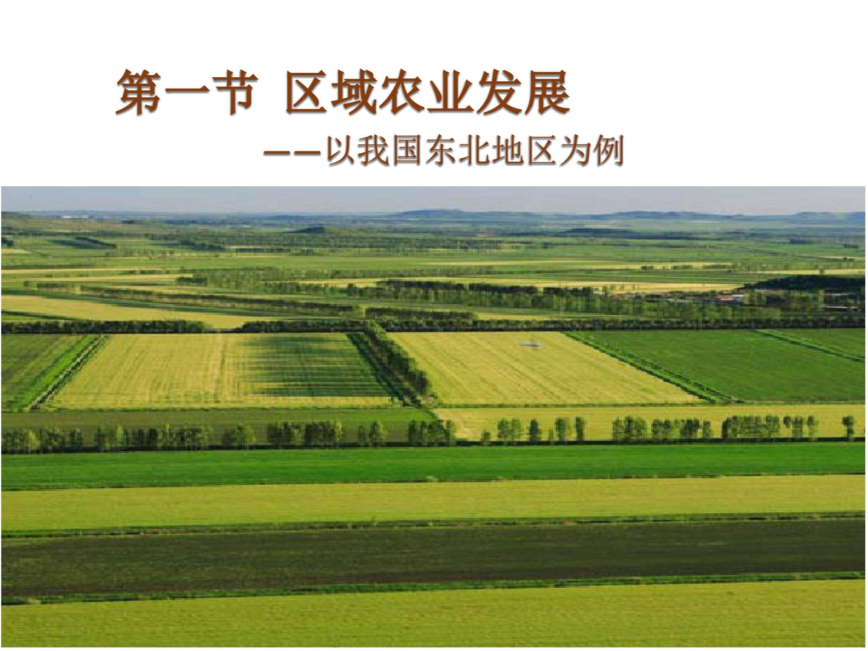 区域农业发展----以我国东北地区为例