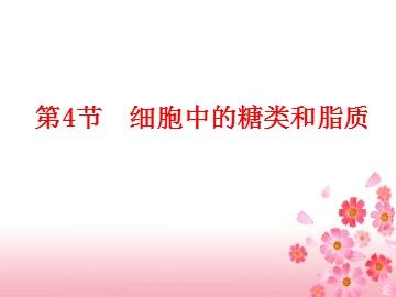 第4节  细胞中的糖类和脂质