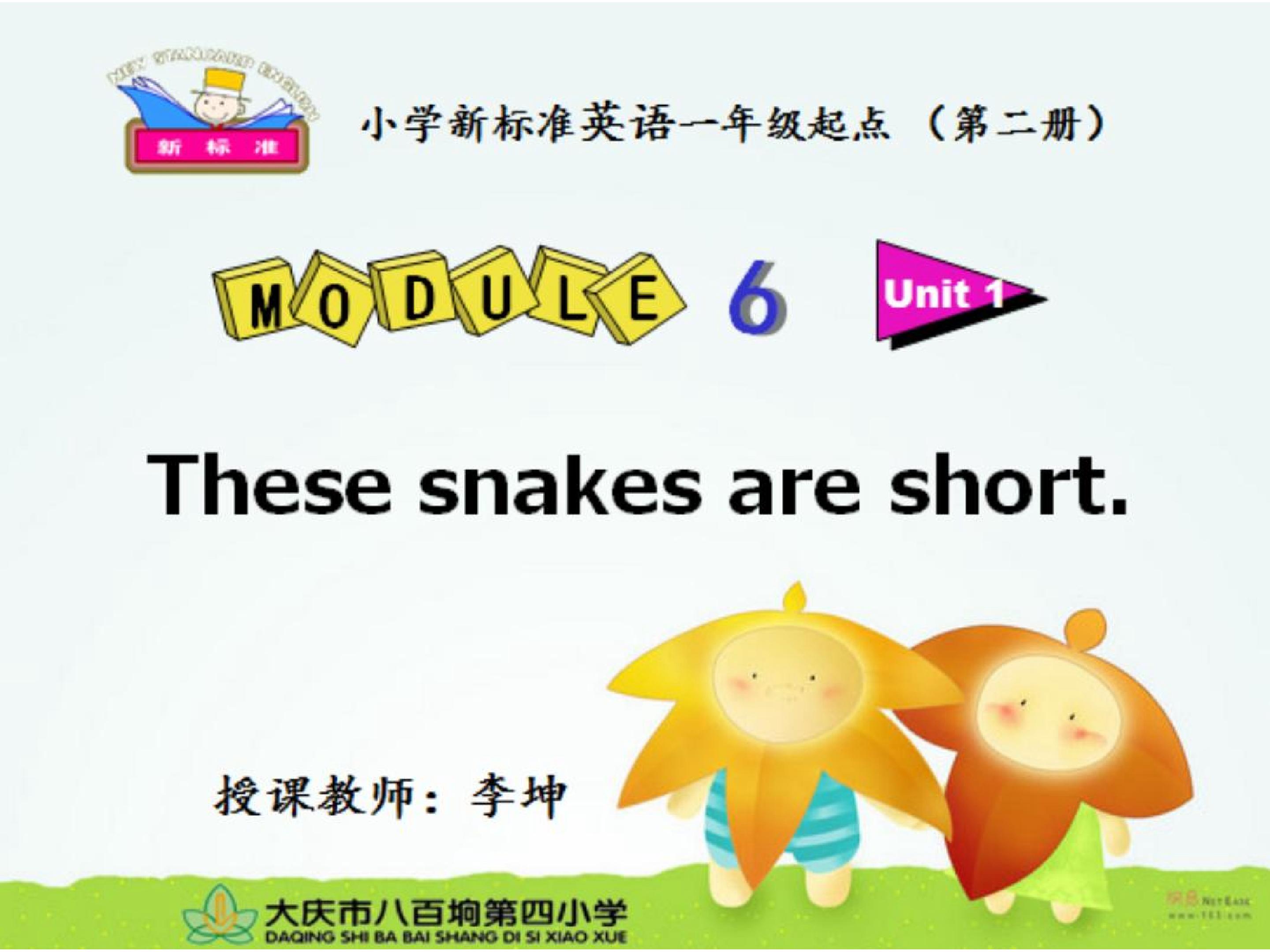 These snakes are short.