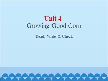 UNIT 4 Growing Good Corn Read, Write & Check_课件1