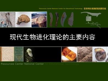 生物高中必修2第七章第二节课件4