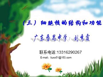 生物高中必修1第三章第三节课件4