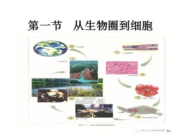 生物高中必修1第一章第一节第一课时课件