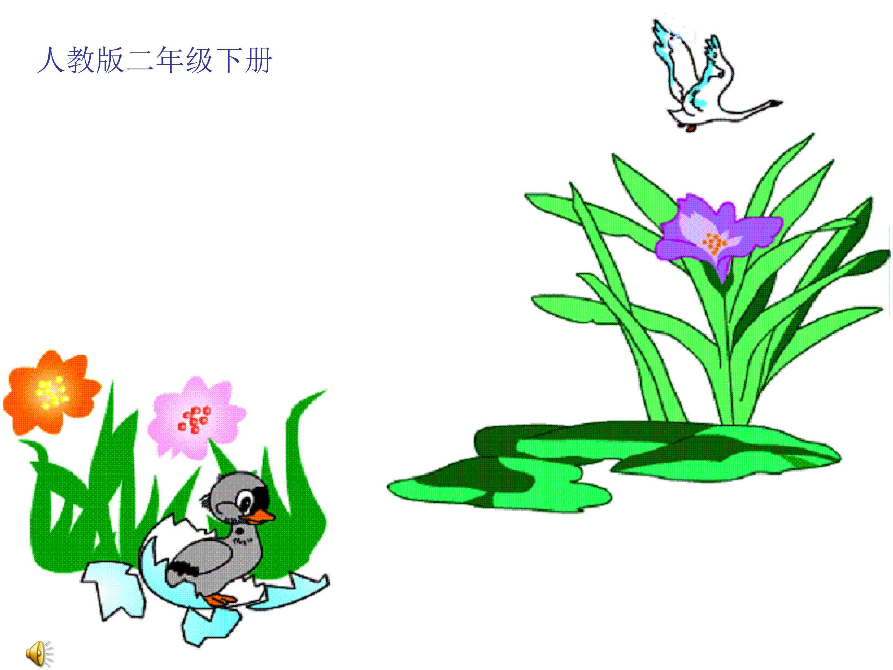 《丑小鸭》课件