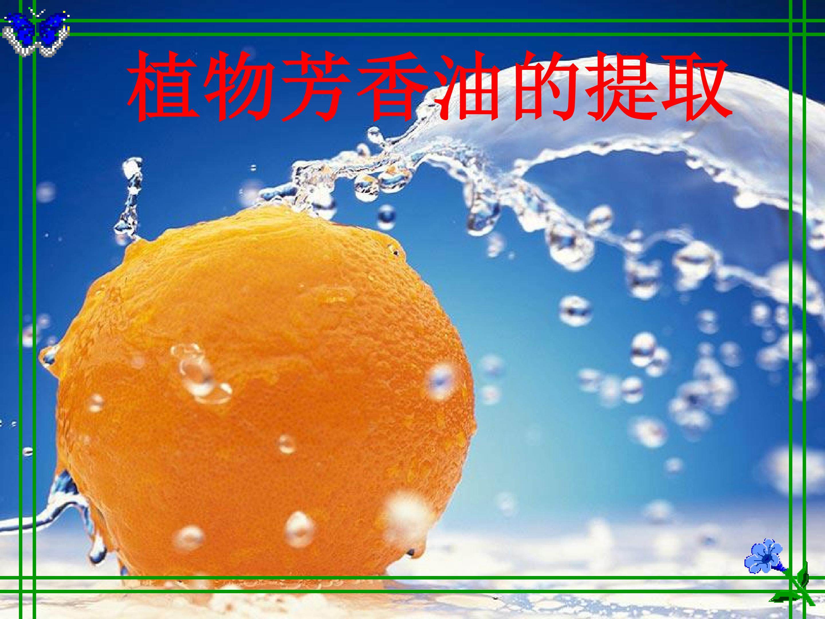 植物芳香油的提取