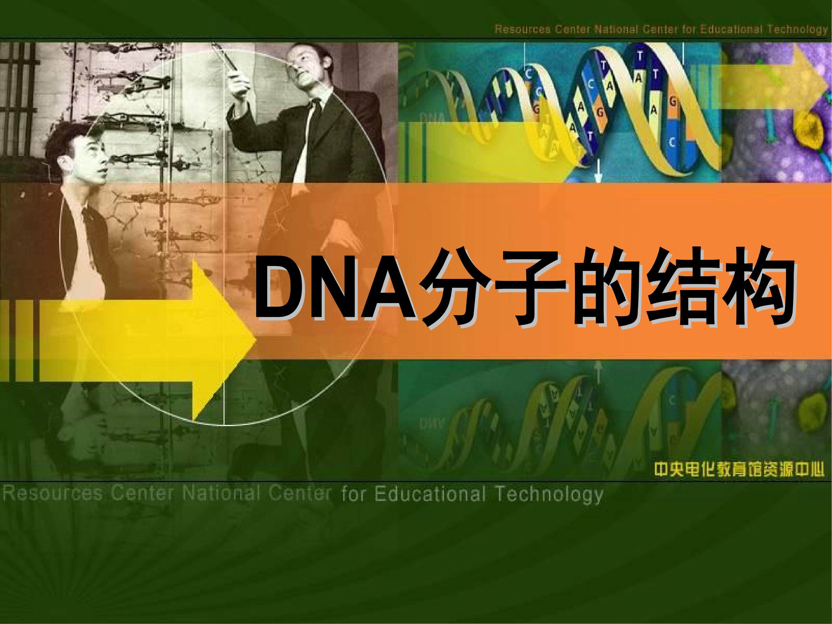 必修二3.2《DNA的结构》
