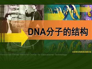必修二3.2《DNA的结构》
