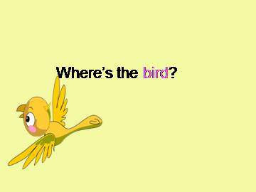 Where's the bird？_课件1