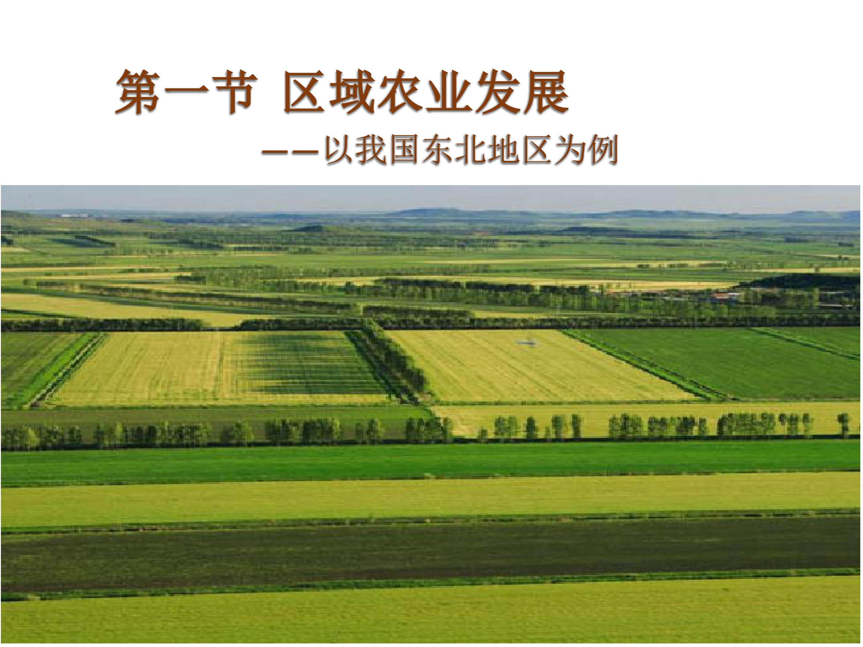 区域农业发展----以我国东北地区为例