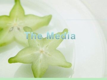 The Media_课件2