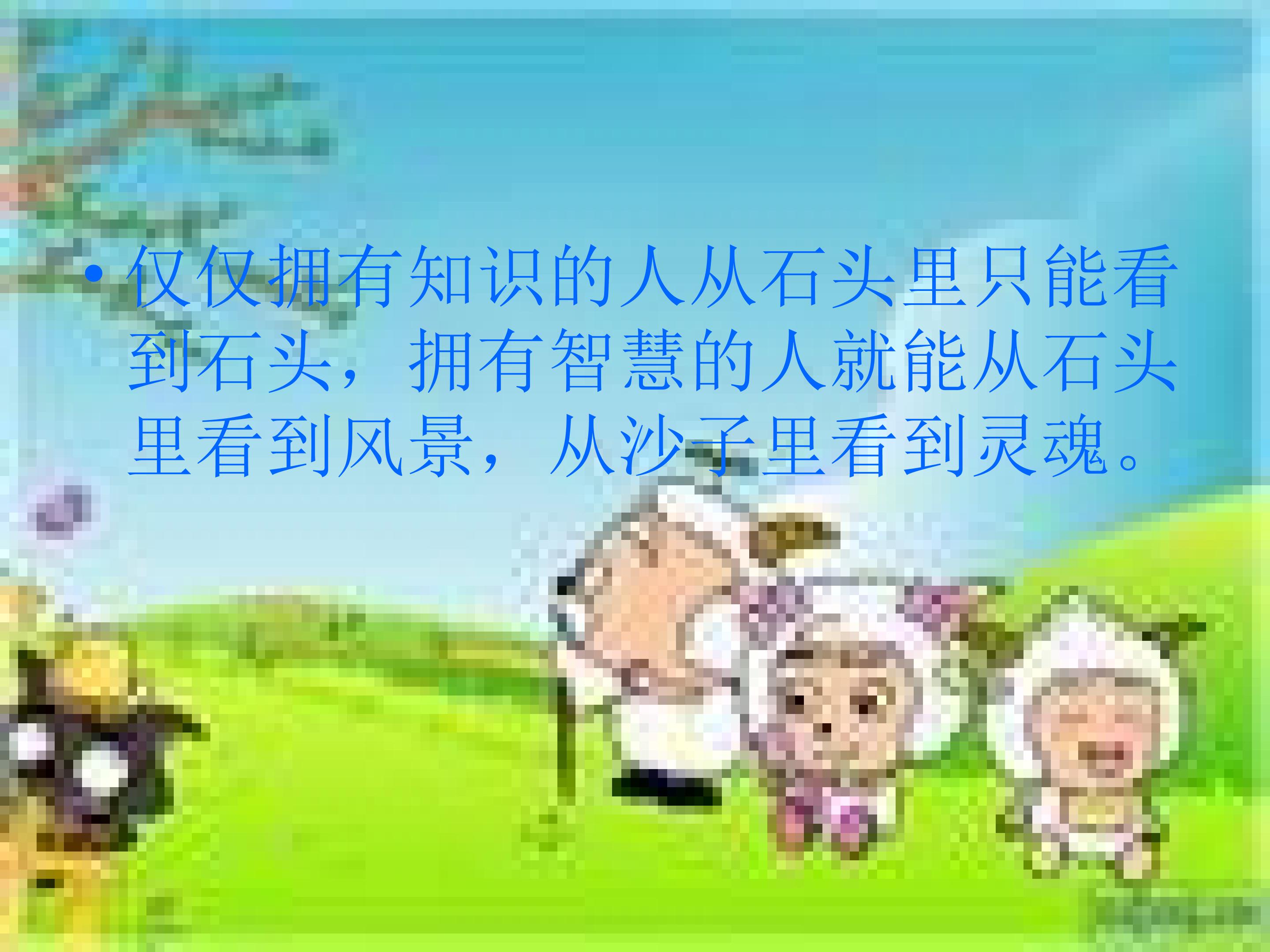 19.jpg