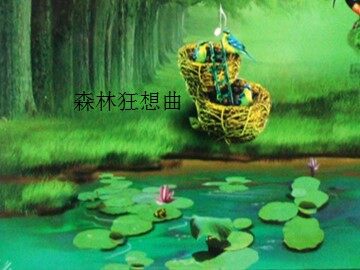 森林狂想曲_课件1