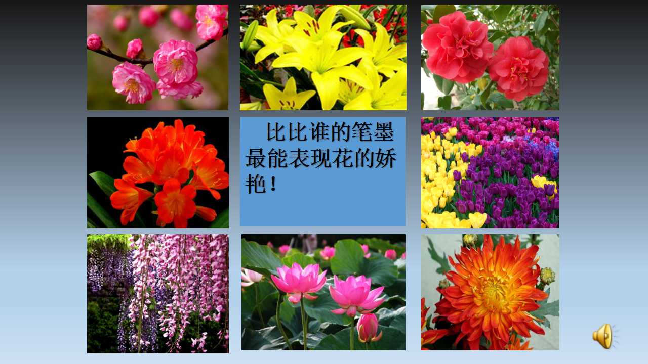 17.娇艳的花