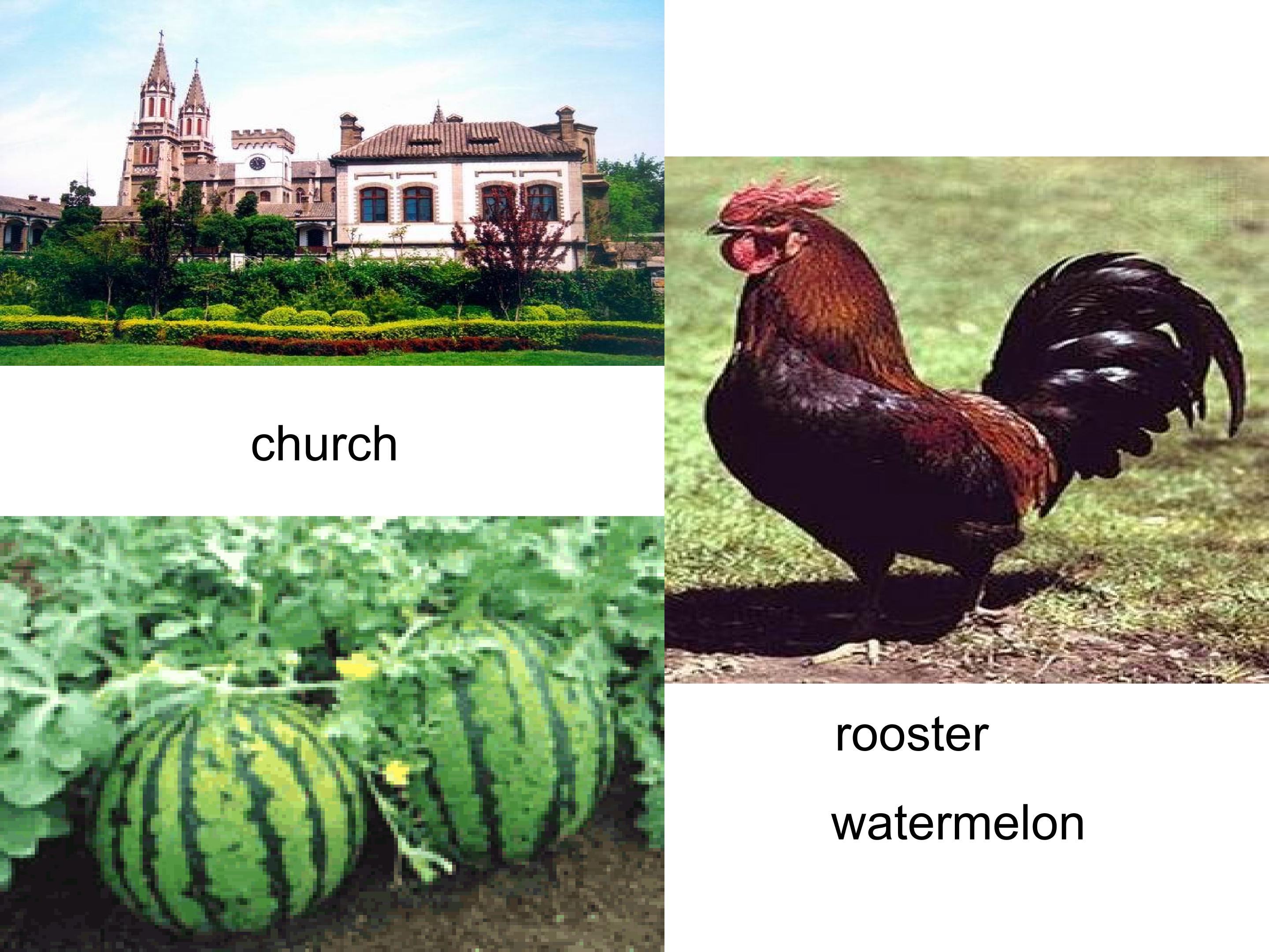 48.jpg