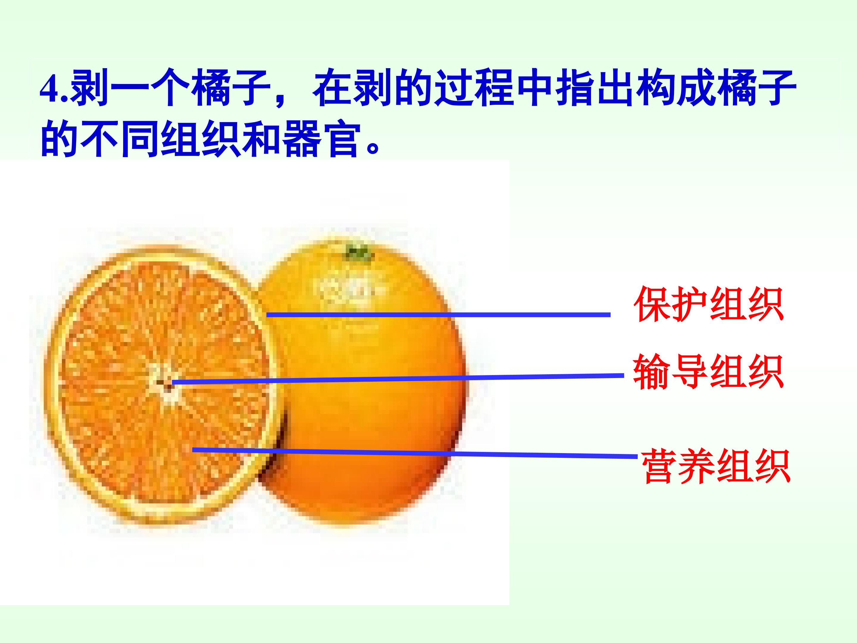 26.jpg