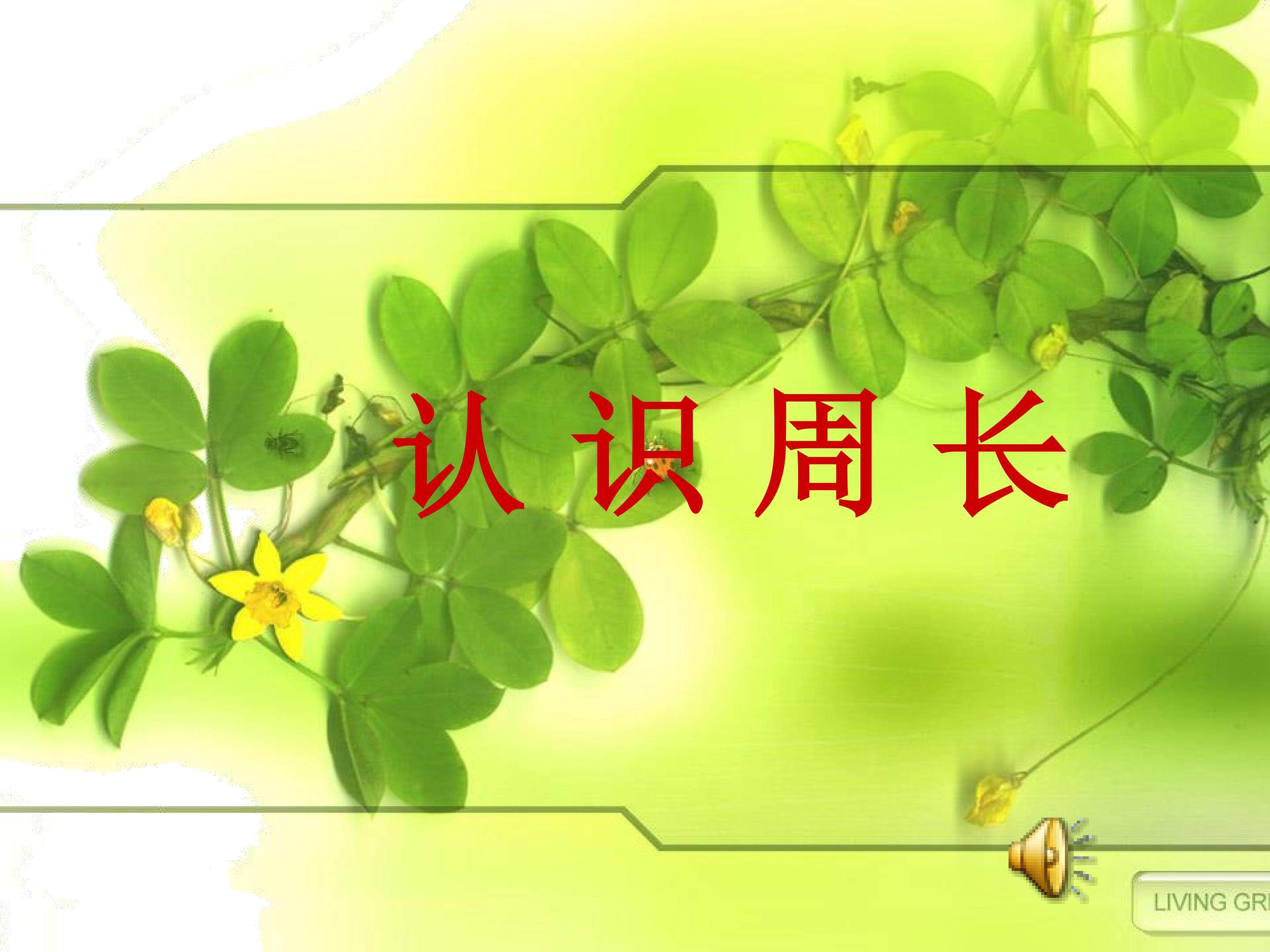 周长的认识