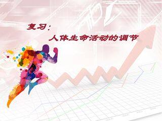 人体生命活动的调节