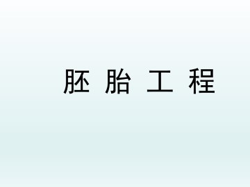 胚胎工程_课件1