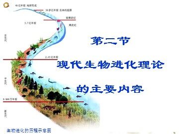 生物高中必修2第七章第二节课件9