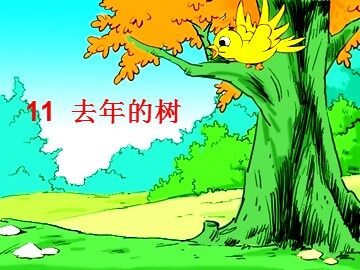 11去年的树