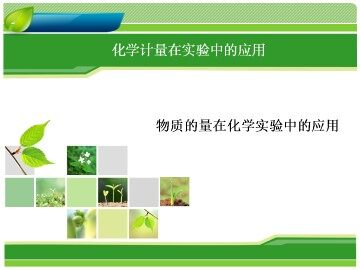 化学计量在实验中的应用_课件41
