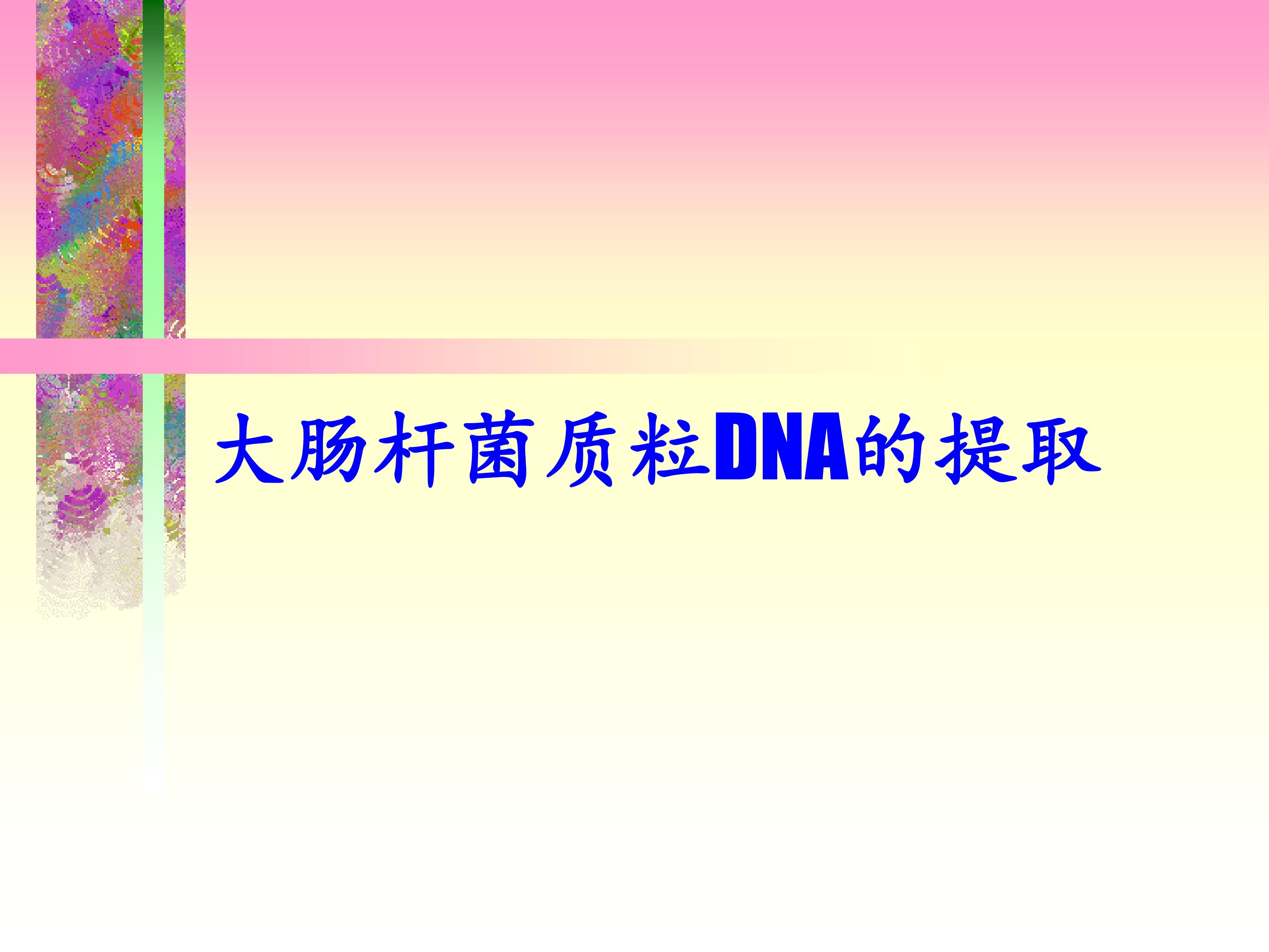 大肠杆菌质粒DNA的提取　_课件1